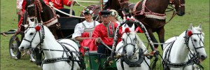 image035_